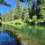 River Bridge Campground