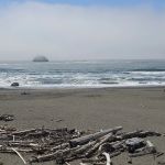 Clifford Kamph Memorial Park