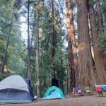 Huckleberry Campground