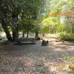 Pearch Creek Campground