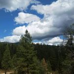 Evergreen Motel & Trailer Park