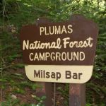 Milsap Bar Campground