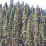 Lower Bucks Campground