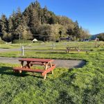 Golden Bear RV Park