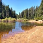 Strawberry Campground Plumas National Forest