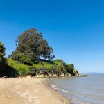 China Camp State Park