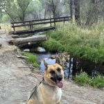 Willow Creek Campground