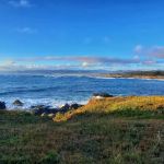 Surfwood Campground MacKerricher State Park