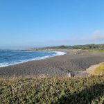 Pinewood Campground | MacKerricher State Park