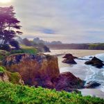 Westpine Campground | MacKerricher