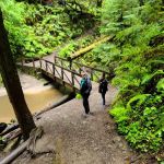 Russian Gulch State Park