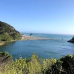 Navarro River Redwoods State Park