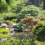 Shore Acres State Park