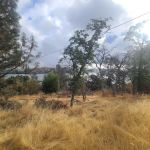 Lower Bayview Campground