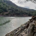 Pine Point Group Camp