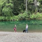 Gualala River Redwood Park