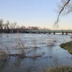 Red Bluff KOA Journey