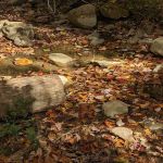 Lower Group Campground