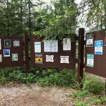 Ellery Creek Campground