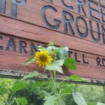 Talona Creek Campground