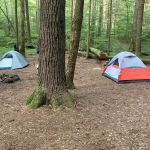 Bear Creek Campground