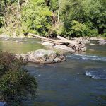 Coosawatee River Resort