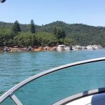 Slaughterhouse Island Campground