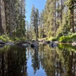 Yosemite Creek Campground