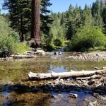 Big Sandy Campground