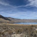 Inyo National Forest