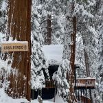 Casa Pondo Cabin Rental