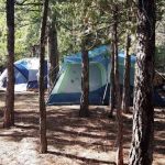 Canyon View Campground