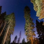 Stony Creek Campground