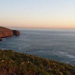 Landing Cove Campground