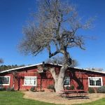 Paso Robles RV Ranch