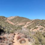 Los Padres National Forest
