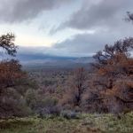 Walker Pass Campground