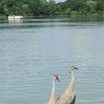 Island Lake Recreation Area