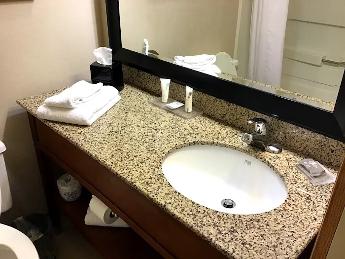 Country Inn & Suites by Radisson, Holland, MI 8
