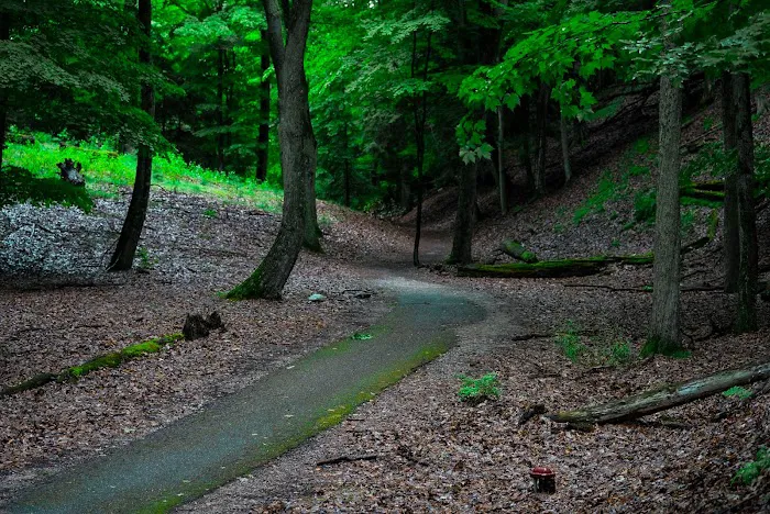 Ludington State Park and Campgrounds 2
