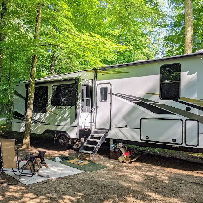 Lakeview Campsite 0