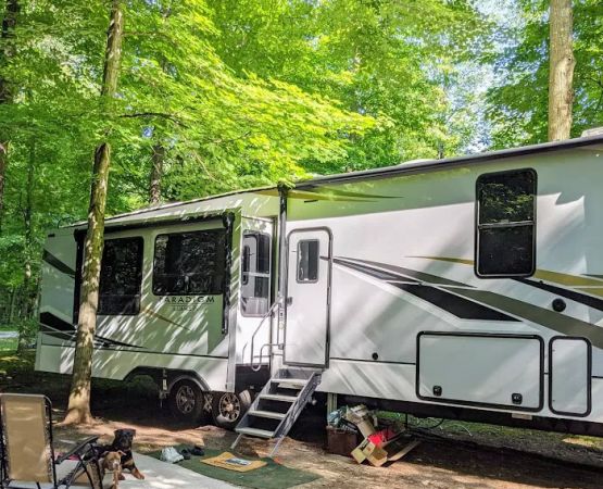 Lakeview Campsite