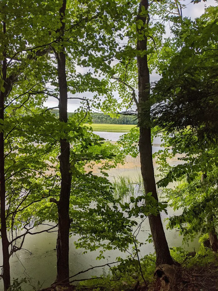 Lakeview Campsite 4