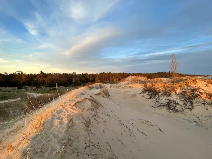 Pines Campground 1