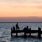 Roaring Point Campground