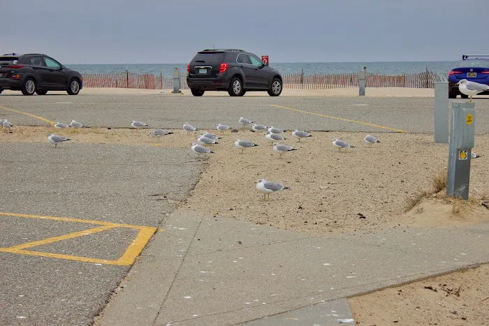 Grand Haven State Park Campground Parking Lot 5