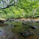 Eno River State Park