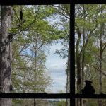 Riverview Campground