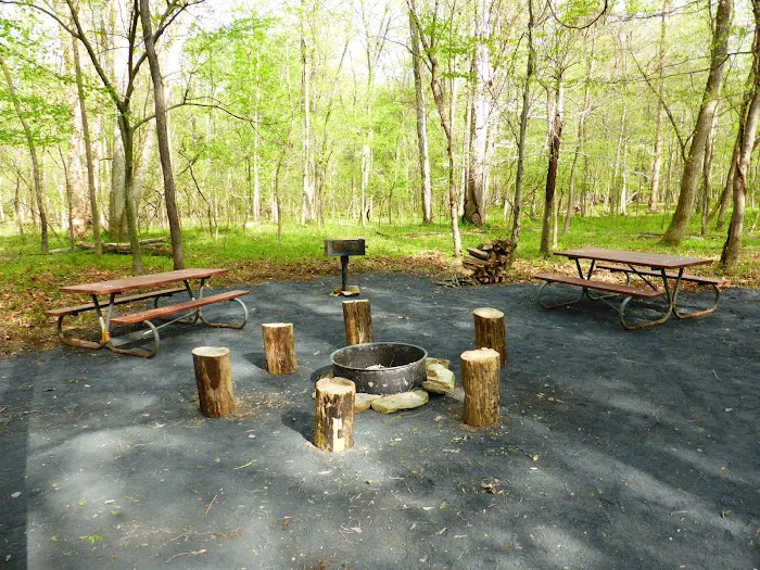 Marsden Tract Group Campground 0