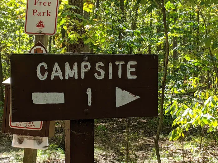 Marsden Tract Group Campground 8